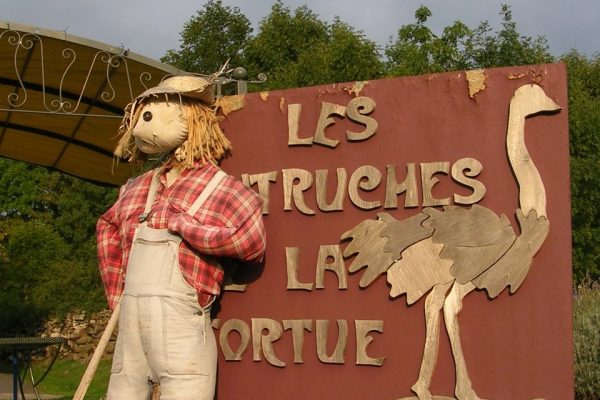 les autruches de la tortue saint julien chapteuil le puy en velay chemins de saint jacques de compostelle genève (6)